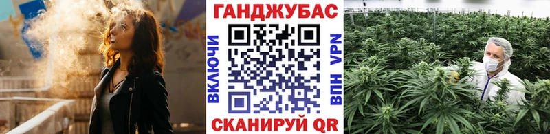 МАРИХУАНА семена  Курильск 